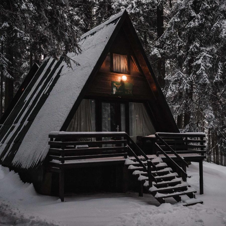 Villas Jagoda & Malina Borovets Ngoại thất bức ảnh