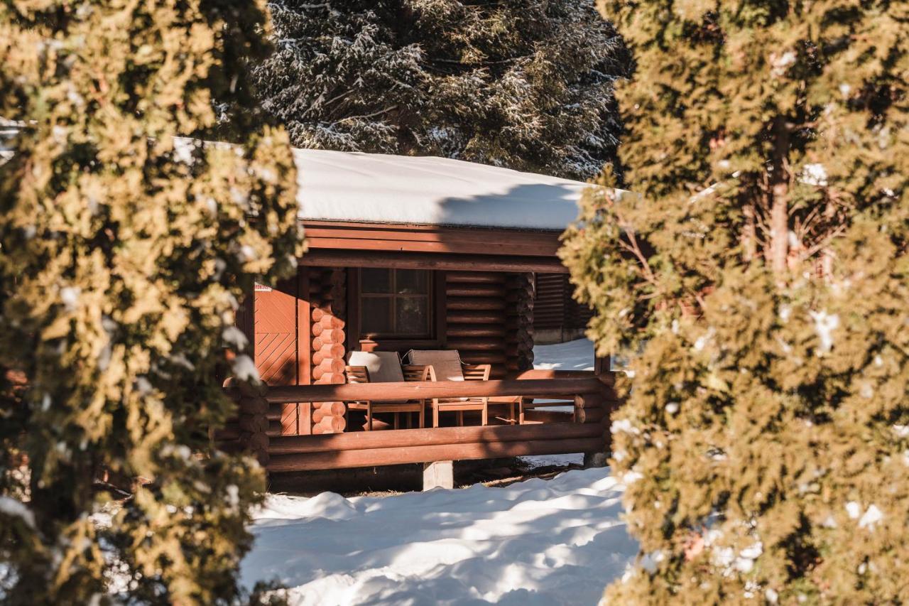 Villas Jagoda & Malina Borovets Ngoại thất bức ảnh