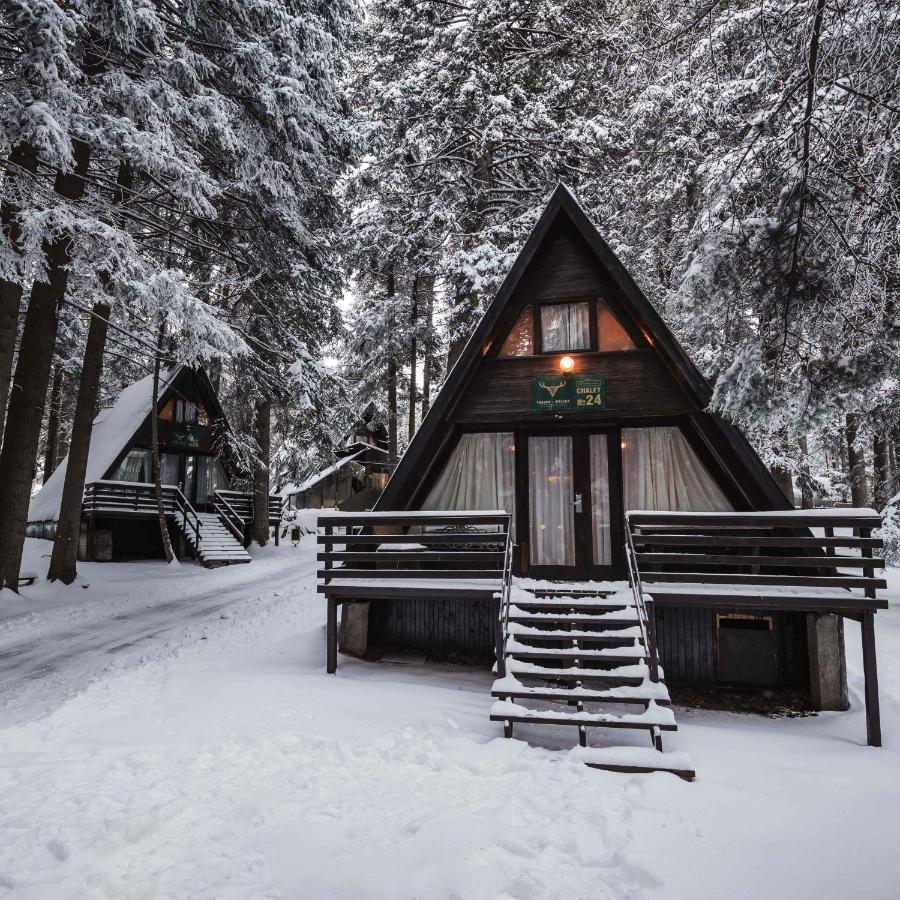 Villas Jagoda & Malina Borovets Ngoại thất bức ảnh