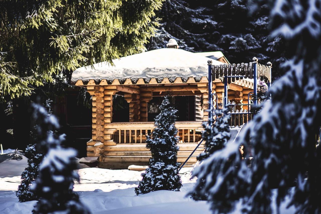 Villas Jagoda & Malina Borovets Ngoại thất bức ảnh